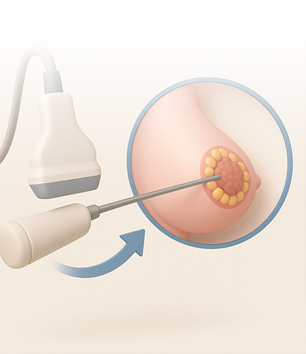 sec04_img02(이미지수정1)